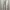 Off-White Streetwear Sweatshirt Pria white photo 4