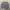 Streetwear Sweatshirt Pria gray photo 6