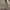 Burberry Vintage Luxury Parka Pria tan khaki photo 3