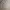 Burberry Vintage Luxury Parka Pria tan khaki photo 6
