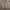 Burberry Vintage Luxury Parka Pria tan khaki photo 2
