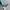 Polo Ralph Lauren Streetwear Casual Pria multicolor photo 3