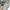 Vintage Sweatshirt Pria gray photo 3