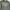 Adidas Streetwear Casual T-shirt Pria gray photo 3