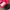 New Balance Sportswear Pria multicolor photo 8
