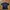 Dickies Streetwear Casual T-shirt Pria Black