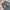 Streetwear Skater Jeans Pria gray photo 5