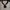 Japanese brand Vintage Cosplay Wanita tan black photo 3
