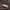 Japanese brand Goth Cosplay Wanita red black photo 8