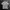 Arnold Palmer Casual Polo Shirt Pria White