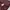 Uniqlo Streetwear Casual Vest Pria burgundy photo 4