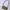 Gucci Y2K Shoulder bag Wanita tan photo 1