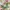 Casual Casual dress Wanita green yellow photo 6