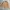 Crocodile Vintage Casual Harrington jacket Pria tan cream photo 2