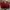 Minimalist Casual Bags & Purse Wanita Burgundy