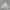 Adidas Avant Garde Sweater Pria white gray photo 4
