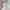 Vintage Kimono Pria cream photo 1