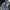 Wrangler Streetwear Y2K Pria blue photo 6