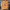 Evisu Streetwear Sweater Wanita yellow photo 1