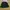 Japanese brand Grunge Hat Pria green photo 1