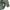 Casual Sweatshirt Pria green photo 4