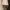 Love Bonito Casual Cami top Wanita cream photo 4