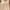 Love Bonito Casual Cami top Wanita cream photo 2
