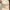 Love Bonito Casual Cami top Wanita white photo 2