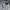 LAINE Casual Casual shirt Pria white photo 4