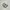 Adidas Casual Sneakers Pria white green photo 1