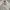 Obey Casual Casual shirt Pria white photo 2