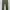 Nautica Casual Formal pants Pria green photo 3