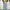 JW Anderson Streetwear Skater Jeans Pria white blue photo 2
