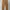 ZARA Casual Formal pants Pria brown photo 4