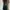 Japanese brand Y2K Goth Jeans Pria multicolor photo 1