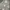 Avirex Vintage Y2K Casual shirt Pria white photo 3