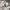 Avirex Vintage Y2K Casual shirt Pria white photo 5