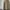 Uniqlo Streetwear Casual Casual pants Pria tan photo 1