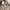 Topten Casual Formal pants Pria cream photo 2