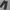 Skater Casual Formal pants Pria black photo 1