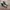 Adidas Casual Casual shoe Pria black cream photo 3
