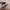 Adidas Casual Casual shoe Pria black cream photo 4