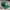 New Era Skater Sportswear Hat Pria green photo 1
