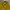 Streetwear Y2K Suit Pria yellow photo 5