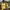 Streetwear Y2K Suit Pria Yellow