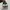 Adidas Casual Sneakers Pria white green photo 4