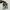 Adidas Casual Sneakers Wanita green brown photo 4