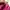 Adidas Sportswear Bomber jacket Wanita pink black photo 4