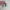 Adidas Sportswear Sneakers Pria multicolor photo 4
