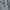 Nike Sportswear Casual Sweatpants & Joggers Pria gray photo 2